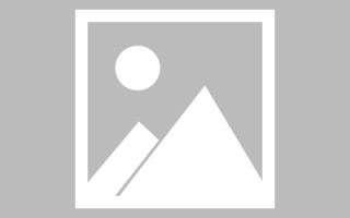 丽水网页设计英文默认字体（网页设置英文转换中文）